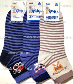 Шкарпетки дитячі Хома 20-22 весна осінь  хлопчик¶ смужка котики асорті 2094