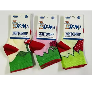 Шкарпетки дитячі демісезонні 8-10 дівчинка ТМ "ХОМА"