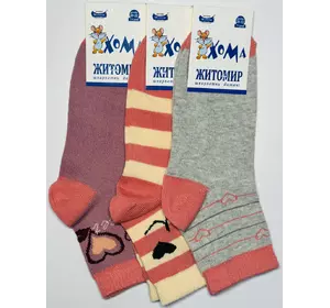 Шкарпетки дитячі Хома 20-22 весна осінь  дівчинка