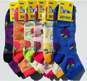 Шкарпетки дитячі Хома 22-24 демісезонні  дівчинка  малина¶ 2177