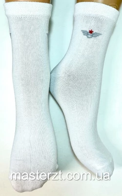 Шкарпетки дитячі Хома 22-24 демісезонні  хлопчик¶ Білий 2130
