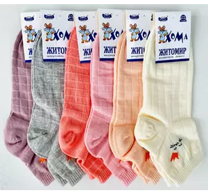 Шкарпетки дитячі Хома 20-22 весна осінь  дівчинка КВАДРАТ (КОРОНА)