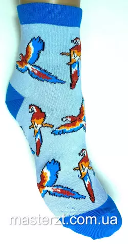 Шкарпетки дитячі Хома 20-22 весна осінь дівчинка¶ папуга асорті 2093