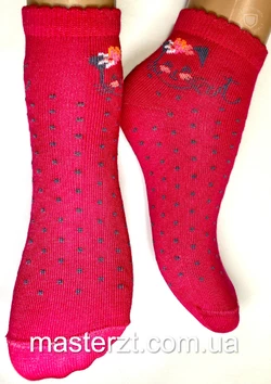 Шкарпетки дитячі демісезонні Хома 14-16р  дівчинка¶, киця, точки, асорті 2013