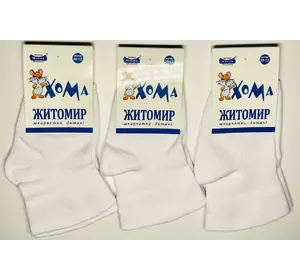 Шкарпетки дитячі білі демісезонні 10-12 ТМ "ХОМА" 2329