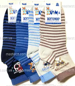 Шкарпетки дитячі Хома 18-20 хлопчик¶ смужка котик 2078