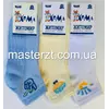 Шкарпетки дитячі патріотичні сітка 18-20  Хома