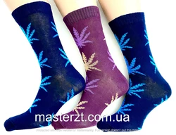 Шкарпетки чоловічі Мастер 25-27р демісезонні листя високі темне асорті¶