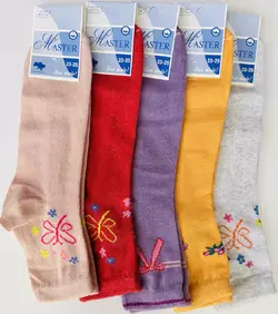 Шкарпетки жіночі демісезонні з малюнком  високі ха Мастер