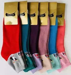 Шкарпетки жіночі махрові хб MASTER Шкарпетки жіночі махрові хб MASTER