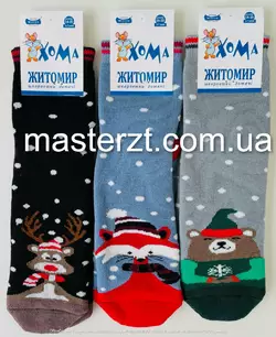 Шкарпетки дитячі махрові 18-20, 5009,  хлопчик (мікс),ТМ "ХОМА" Шкарпетки дитячі махрові 18-20, 5009,  хлопчик (мікс),ТМ "ХОМА"