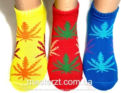 Шкарпетки чоловічі Мастер 27-29р короткі листя яскраве асорті¶ Шкарпетки чоловічі Мастер 27-29р короткі листя яскраве асорті¶