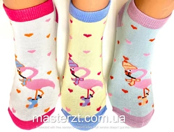 Шкарпетки жіночі демісезонні безшовні хб Мастер фламінго