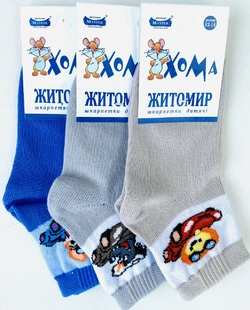 Шкарпетки дитячі весна осінь 12-14 ТМ "ХОМА" хлопчик¶ ЛЬОВА Шкарпетки дитячі весна осінь 12-14 ТМ "ХОМА" хлопчик¶ ЛЬОВА