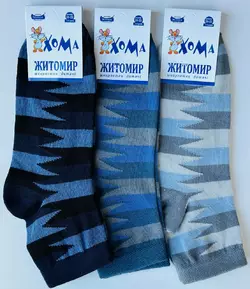 Шкарпетки дитячі Хома 20-22 весна осінь хлопчик Шкарпетки дитячі Хома 20-22 весна осінь хлопчик