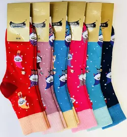 Шкарпетки жіночі махрові хб MASTER Шкарпетки жіночі махрові хб MASTER