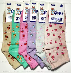 16-18 /4-5 років, 12 пар, Шкарпетки ДИТЯЧІ ДЕМІСЕЗОННІ ТМ "ХОМА" ЖИТОМИР ОПТ, супер якість! 2050 16-18 /4-5 років, 12 пар, Шкарпетки ДИТЯЧІ ДЕМІСЕЗОННІ ТМ "ХОМА" ЖИТОМИР ОПТ, супер якість! 2050
