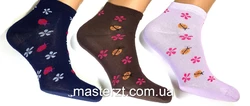 Шкарпетки жіночі демісезонні хб Мастер Божа корівка середні