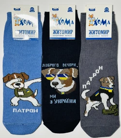 Шкарпетки дитячі Хома 20-22 весна осінь хлопчик¶ Шкарпетки дитячі Хома 20-22 весна осінь хлопчик¶