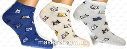 Шкарпетки жіночі демісезонні коти хб Мастер