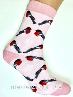 1144, Шкарпетки ЖІНОЧІ махрові ТМ "MASTER" снігурі¶ 1144, Шкарпетки ЖІНОЧІ махрові ТМ "MASTER" снігурі¶