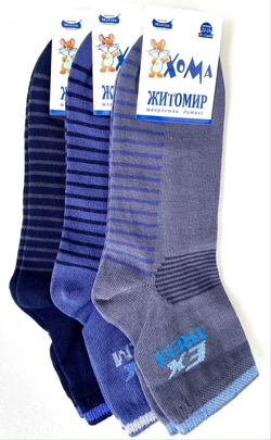 Шкарпетки дитячі Хома 22-24 демісезонні  хлопчик, Екстрім¶ 2206 Шкарпетки дитячі Хома 22-24 демісезонні  хлопчик, Екстрім¶ 2206