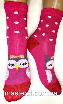 Шкарпетки дитячі Хома 18-20 дівчинка¶ Сова асорті 2086 Шкарпетки дитячі Хома 18-20 дівчинка¶ Сова асорті 2086
