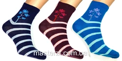 Шкарпетки жіночі ДЕМІСЕЗОННІ ТМ "MASTER" без гумки квітка з смужкою¶