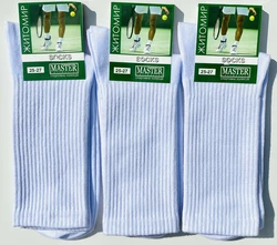 Шкарпетки чоловічі Мастер 25-27р демісезонні білі висока ГУМКА