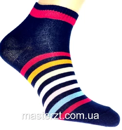 Шкарпетки жіночі демісезонні хб радуга Мастер