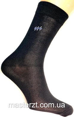 Шкарпетки чоловічі Мастер 27-29р демісезонні еліт чорні