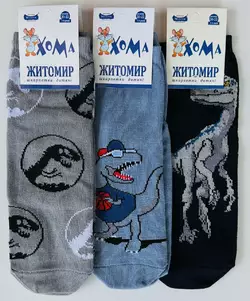 Шкарпетки дитячі Хома 20-22 весна осінь   хлопчик Шкарпетки дитячі Хома 20-22 весна осінь   хлопчик