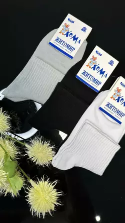 Шкарпетки дитячі Хома 22-24 демісезонні Шкарпетки дитячі Хома 22-24 демісезонні