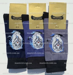 Шкарпетки чоловічі Мастер 25-27 демісезонні ТМ "MASTER" БЕЗШОВНІ Тигр, Люкс якість! Шкарпетки чоловічі Мастер 25-27 демісезонні ТМ "MASTER" БЕЗШОВНІ Тигр, Люкс якість!