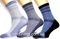 Шкарпетки чоловічі Мастер 27-29  демісезонні рубчик високий¶ Шкарпетки чоловічі Мастер 27-29  демісезонні рубчик високий¶