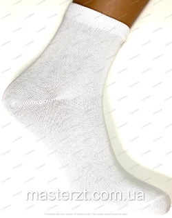Шкарпетки жіночі демісезонні білі високі ха Мастер