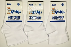 Шкарпетки дитячі білі демісезонні 10-12 ТМ "ХОМА" 2329 Шкарпетки дитячі білі демісезонні 10-12 ТМ "ХОМА" 2329
