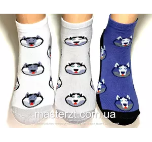 Шкарпетки чоловічі Мастер 25-27 демісезонні ТМ "MASTER" БЕЗШОВНІ хаскі Шкарпетки чоловічі Мастер 25-27 демісезонні ТМ "MASTER" БЕЗШОВНІ хаскі