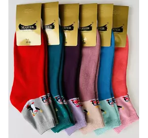 Шкарпетки жіночі махрові хб MASTER