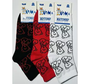 Шкарпетки дитячі Хома 20-22 весна осінь дівчинка Шкарпетки дитячі Хома 20-22 весна осінь дівчинка