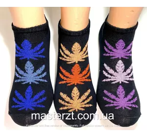 Шкарпетки чоловічі Мастер 27-29р короткі листя чорне асорті¶ Шкарпетки чоловічі Мастер 27-29р короткі листя чорне асорті¶