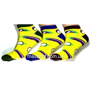 Шкарпетки чоловічі Мастер 27-29 демісезонні ТМ "MASTER" БЕЗШОВНІ асорті баклажани