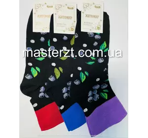 Шкарпетки жіночі без гумки локхина ТМ "MASTER"