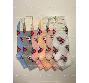 Шкарпетки жіночі демісезонні хб Мастер Замки¶ Шкарпетки жіночі демісезонні хб Мастер Замки¶