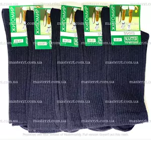 Шкарпетки чоловічі Мастер 25-27р. демісезонні ТМ "MASTER" чорні висока гумка¶ Шкарпетки чоловічі Мастер 25-27р. демісезонні ТМ "MASTER" чорні висока гумка¶