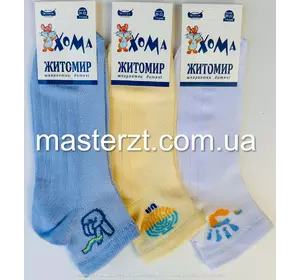 Шкарпетки дитячі патріотичні сітка 20-22  Хома