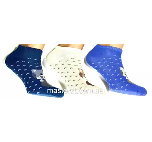 Шкарпетки жіночі демісезонні хб Мастер  Лисеня укорочені Шкарпетки жіночі демісезонні хб Мастер  Лисеня укорочені
