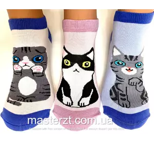 Шкарпетки жіночі демісезонні безшовні хб Мастер коти Шкарпетки жіночі демісезонні безшовні хб Мастер коти