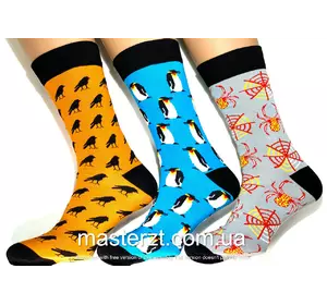 Шкарпетки чоловічі Мастер 25-27 демісезонні ТМ "MASTER". Люкс якість!¶ Шкарпетки чоловічі Мастер 25-27 демісезонні ТМ "MASTER". Люкс якість!¶