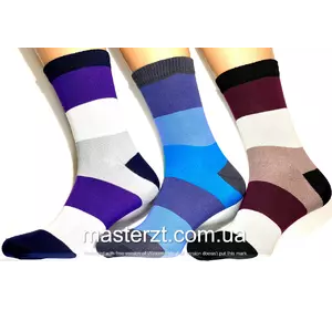Шкарпетки чоловічі Мастер 27-29р демісезонні смужка Шкарпетки чоловічі Мастер 27-29р демісезонні смужка